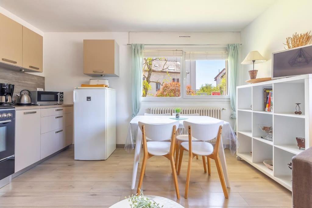 Appart Cosy Annecy Parking Et Velos Gratuit Esterno foto